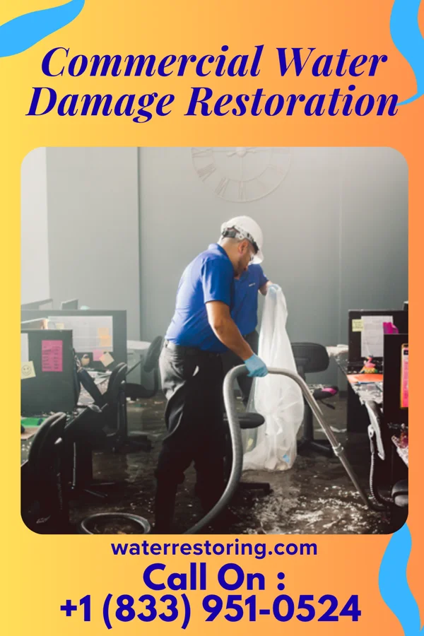 Commercial Water Damage Restoration in Colonial Heights, VA