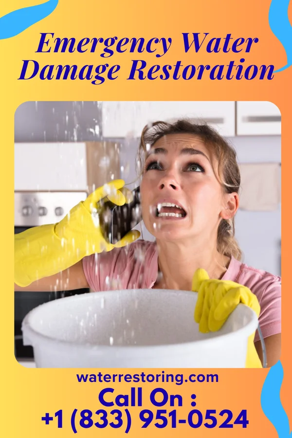 Emergency Water Damage Restoration in Colonial Heights, VA