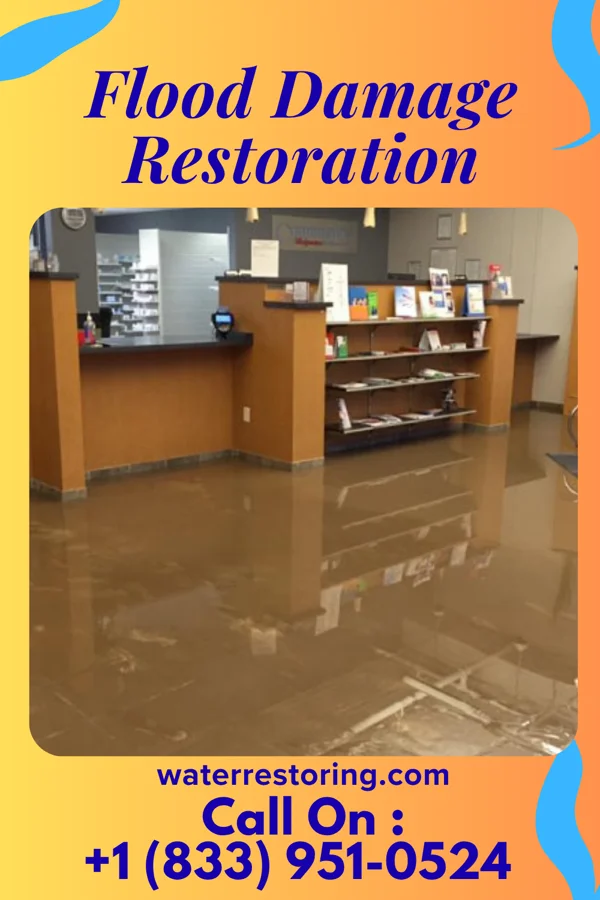 Flood Damage Restoration in Colonial Heights, VA