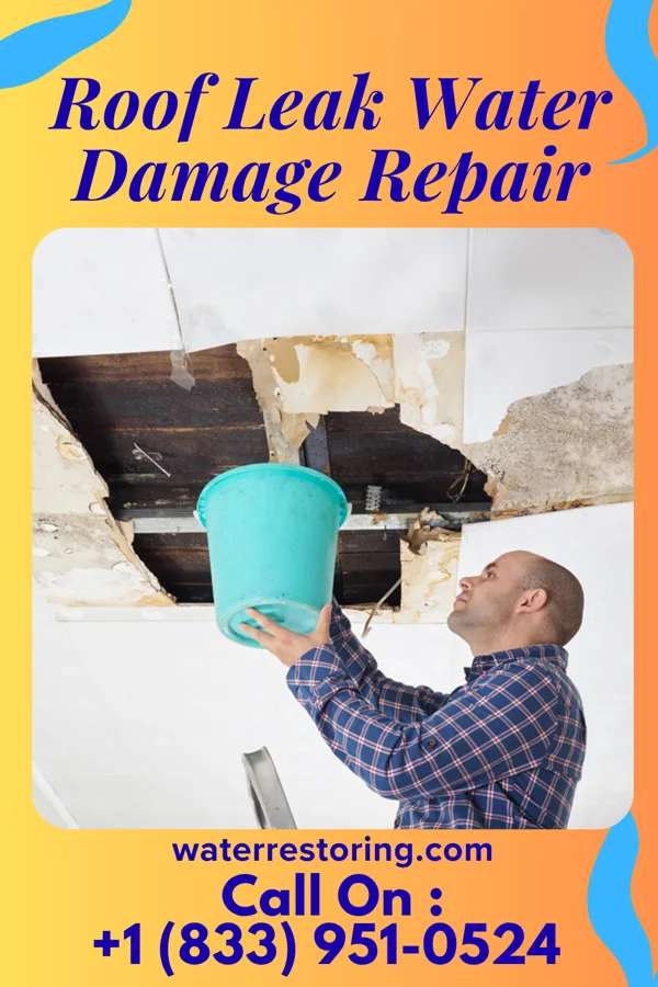 Roof Leak Water Damage Repair in Colonial Heights, VA