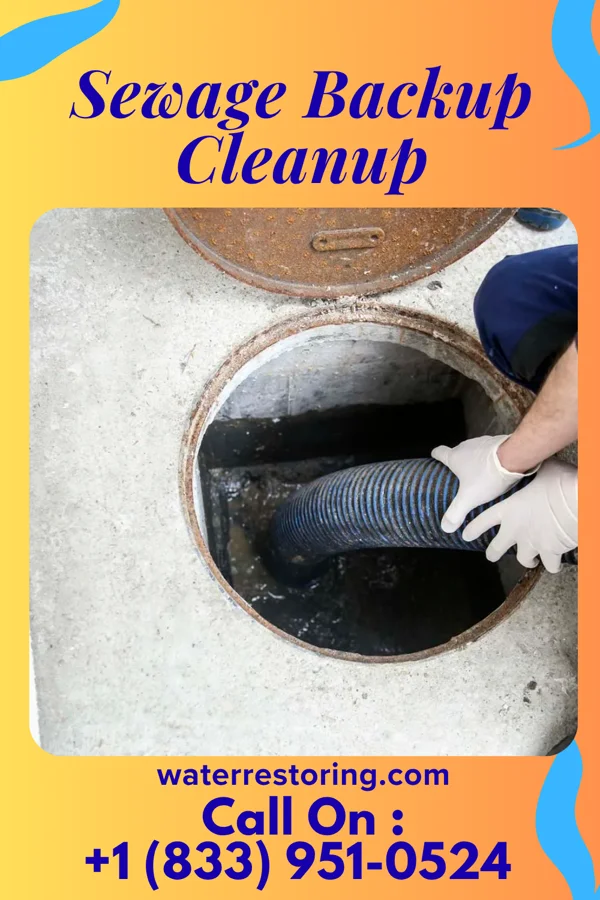 Sewage Backup Cleanup in Colonial Heights, VA